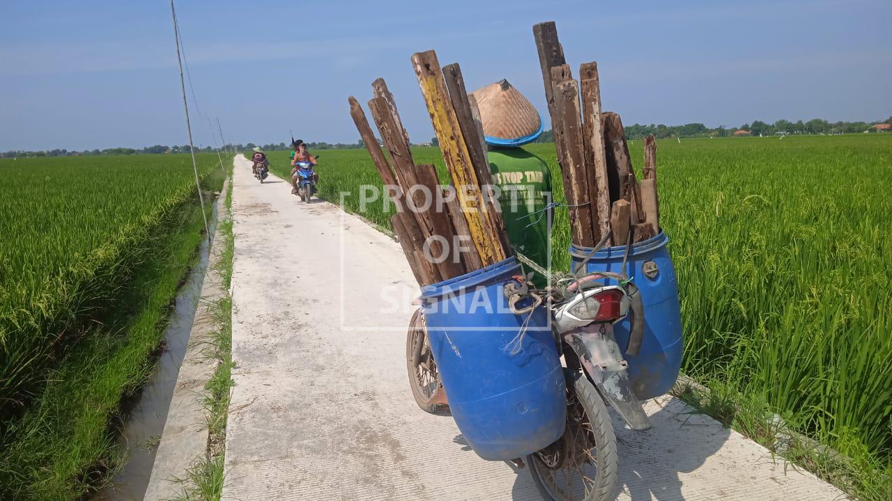 Desa Brondong Perbaiki Jalan, Warga dari Tetangga Desa Turut Rasakan Manfaat