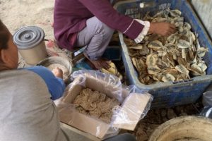 Dendeng Ikan Manis, Makanan Unik Khas Eretan Wetan Indramayu yang Menggugah Selera dan Penghasil Cuan