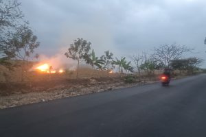 Pembakaran Lahan Sawah Pasca-Panen Berpotensi Bahayakan Pengguna Jalan