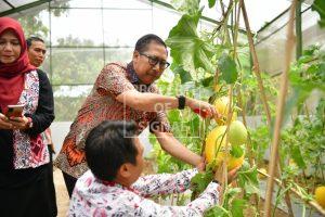 Siapkan Pertanian Unggulan, Pjs. Bupati Indramayu Kunjungi Balai Benih Hortikultura