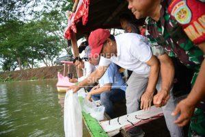 Tingkatkan Pelestarian Lingkungan dan Pengembangan Wisata, 45 Ribu Ikan Ditebar di Rawa Bawa Cinta